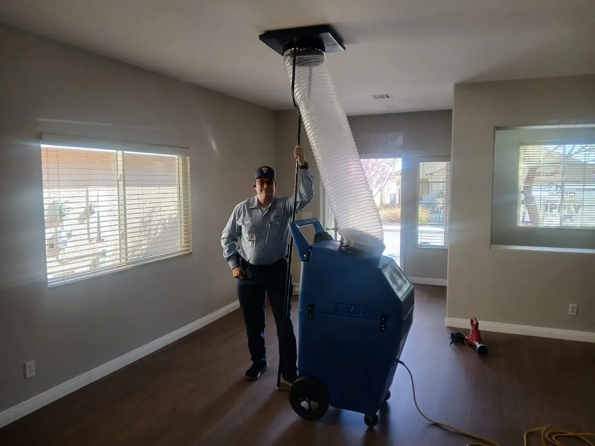 Professional Dryer Vent Cleaning work inside a Pleasantville home